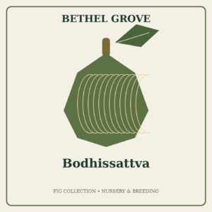 Bodhissattva
