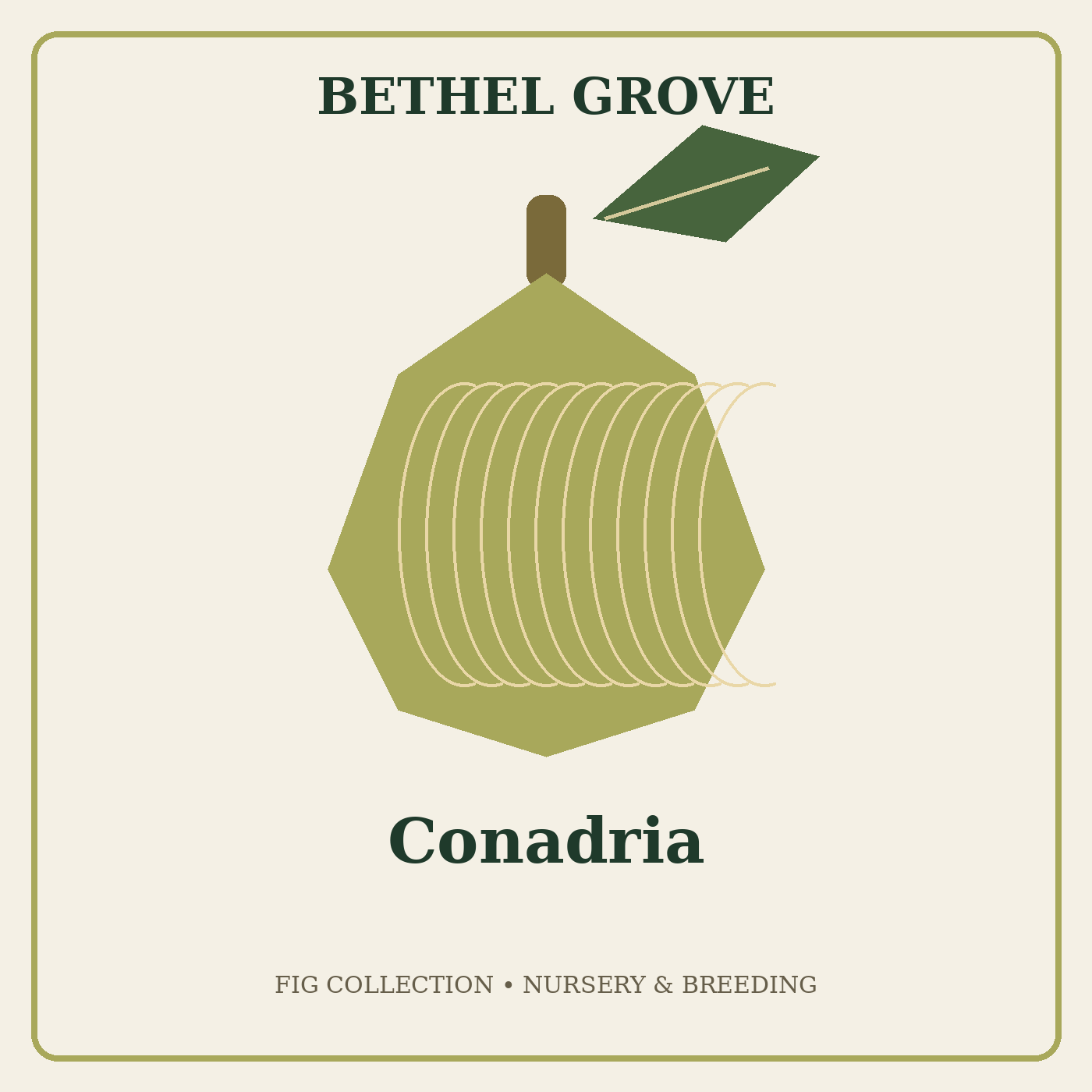 bethel-grove-conadria