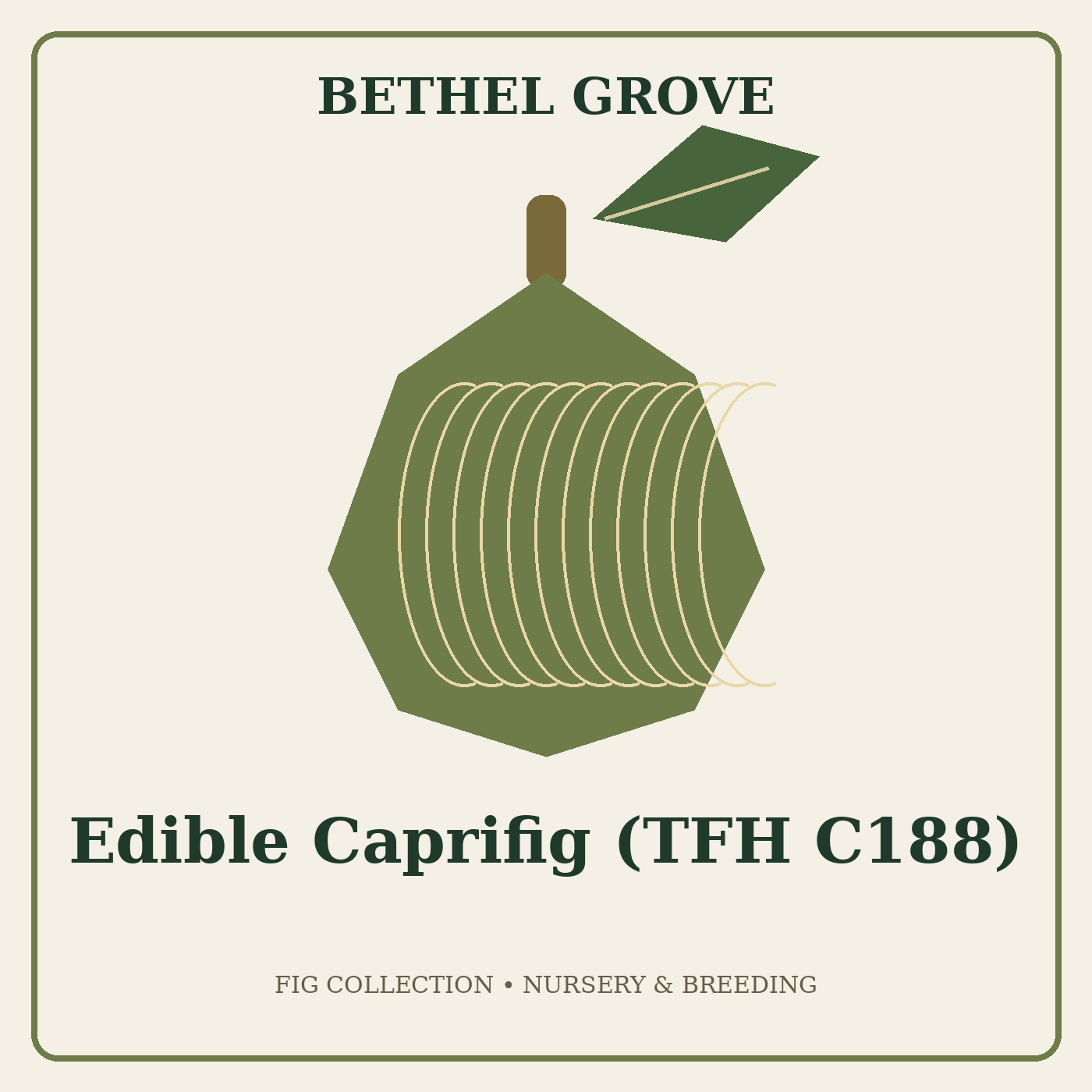 bethel-grove-edible-caprifig-tfh-c188