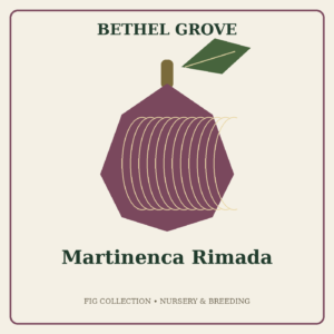Martinenca Rimada