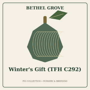 Winter's Gift (TFH C292)